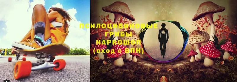 hydra tor  Белоозёрский  Галлюциногенные грибы Psilocybe  купить закладку 